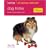 Dog Tricks: Fun Tricks to Teach Your Dog (Hamlyn All Colour 200)