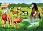 Ravensburger Horses 24 Piece Jigsaw Puzzle