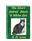 The Short Haired Black and White Cat