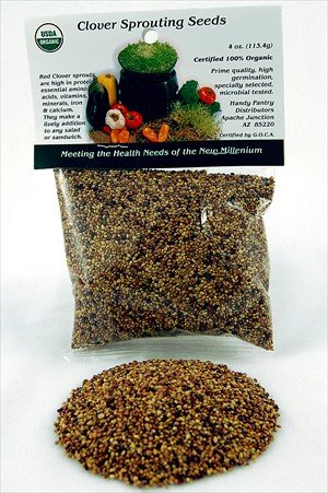Red Clover Sprouting Seed: 1 4 Lb. (4 Oz.) - Certified Organic - Red Sweet Clover Seed for... by Wheatgrasskits.com