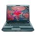 Toshiba Satellite A305-S6839 15.4" Laptop (Intel Centrino 2.1 GHz Intel Core 2 Duo T8100 Processor, 3 GB RAM, 320 GB Hard Drive, DVD Drive, Vista Premium)