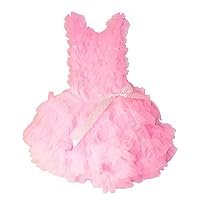 Toddler Ruffled Princess Costume Dress Size: 18 Months