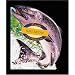 The Totally Salmon Cookbook