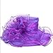 Fascinators Kentucky Derby Church Veil Dress Large Cocktail Party Hat S042