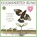Illuminated Rumi 2017 Calendar: Illuminations