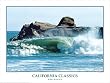 California Classics "Ano Nuevo" Surfing Poster