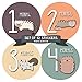 Monthly Baby Stickers by Months In Motion | 12 Month Milestone Sticker for Newborn Babies Cats Kitten (Style 1174)