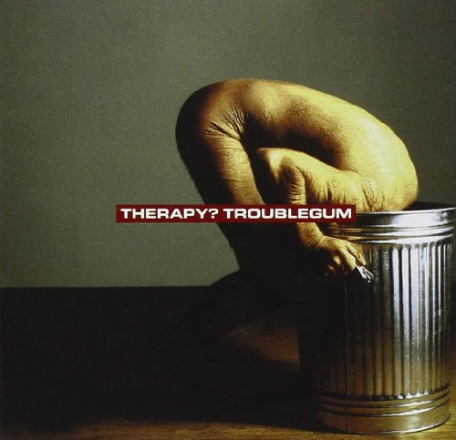 Therapy - So Much for the Ten Year Plan: - Zortam Music