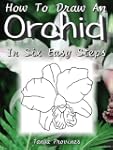 How To Draw An Orchid In Six Easy Steps