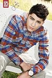 (24x36) One Direction Zayn Music Poster