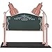Hanson Heat Lamps CD/BB/BCOP Dual Lamp 20inch x 36inch Bright Copper Carving Station compatible Synthetic Granite Base and Etched Sneeze Guard