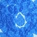 3D Blue Tear Drop 1.5