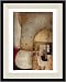 New Era Publishing DE110A Ambiance II Framed Print - DeRosier