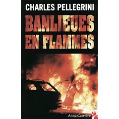 Banlieues en flammes