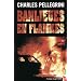 Banlieues en flammes