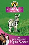 Stripy the zebra foal