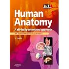 Human Anatomy: A Clinically-Orientated Approach (Illustrated Colour Text) by Sam Jacob