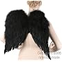 Adult's Black Feathered Angel Costume Wings