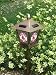 Outdoor Living : Boston Red Sox MLB Stained Glass Solar Lantern (20")
