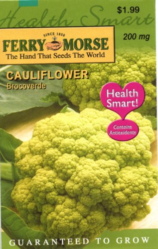 Ferry-Morse Seeds 1807 Cauliflower - Brocoverde 200 Milligram Packet