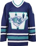Worcester Ice Cats Road AHL Replica Jersey - Youth X-Large