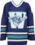 Worcester Ice Cats Road AHL Replica Jersey(Youth X-Large)