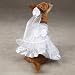 East Side Collection Polyester Yappily Ever After Dog Wedding Dress, Small, 12-Inch, White