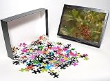 Photo Jigsaw Puzzle of ROG-12096 Dahoon holly with berries from Ardea Wildlife Pets