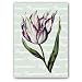 "Congratulations" with Tulipa 19 - 5" x 7" Vellum Overlay Greeting Card