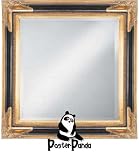 Review PosterPanda.com  / 16x20 - Gold Leaf With Black Panel & Gold Liner FRAMED MIRROR