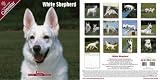 NEW! Pet Prints 2009 White German Shepherd Calendar