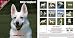 NEW! Pet Prints 2009 White German Shepherd Calendar