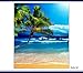 Extreme Book Sox - Jumbo Beach