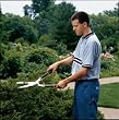 Fiskars Power Lever 10-Inch Steel Handle Hedge Sheers #9178