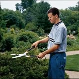Fiskars Power Lever 10-Inch Steel Handle Hedge Sheers #9178