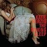 Image of album by Katie Herzig