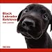 2009 Labrador Retriever Black ARTLIST Square Wall Calendar