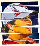 IMAGE OF Limited Edition Artwork, Theme: Sport & Entertainment, Oil on Canvas, Custom Order: Completely Handpainted Painting from Motif #W2525, Free to Choose Realistic or Impressionistic Style, Stripes size: No Stripes At All Or Choose S/M/L/XL/XXL, Unframed, Canvas Size 15