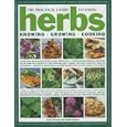 The Practical Guide to Using Herbs