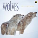 Wolves 2011 Wall Calendar