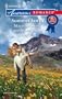 Summer Lovin': The Preacher's Daughter\A Baby On The Way\A Reunion Romance (Harlequin American Romance)