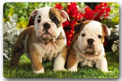 Cute Interesting Bulldog Baby Non-Slip Entryways Indoor/Outdoor Rectangle Floor Mat Doormat - 23.6"(L) x 15.7"(W) Welcome Doormat