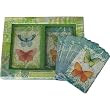 Rainforest Butterflies Punch Studio Boxed Set of 2 Decks Playing Cards