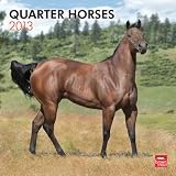 Quarter Horses 2013 Square 12X12 Wall Calendar