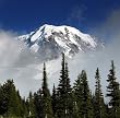 Beautiful Mount Rainier from Spray Park - Evocative 16x20 Photographic Print by Brendan Reals