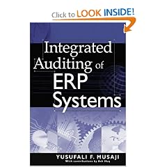 Integrated Auditing of ERP Systems