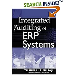Integrated Auditing of ERP Systems