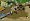 Harvest Moon: Tree of Tranquility