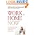 Work at Home Now: The No-nonsense Guide to Finding Your Perfect Home-based Job, Avoiding Scams, and Making a Great Living