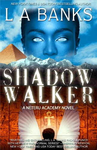 Shadow Walker (Neteru Academy Books)